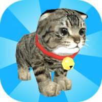 Maze Game 3D Cat Simulator