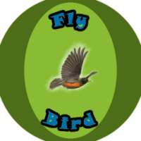 Fly Bird