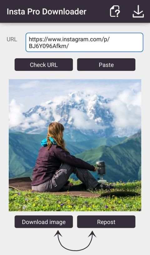 Insta Pro Downloader 2 تصوير الشاشة