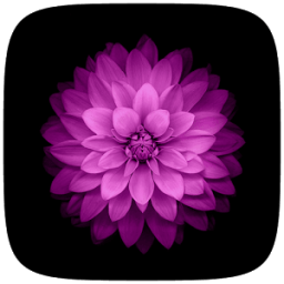 ikon Keren OS Hidup wallpaper