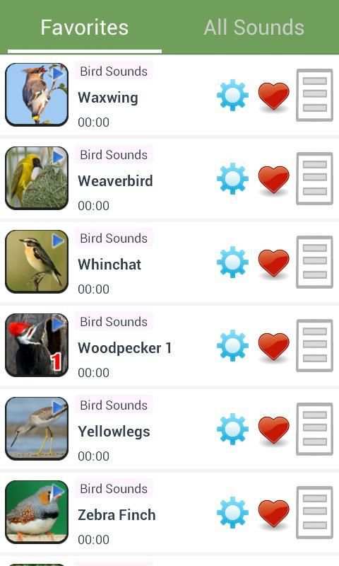 Bird Sounds screenshot 4