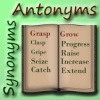 Synonyms-Antonyms Challenge
