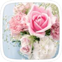 Pink White Flower Theme