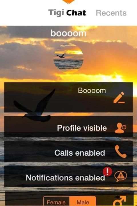 Tigi Chat : Public Chat&Social screenshot 5
