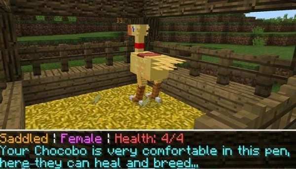 ChocoCraftPe Mod for Minecraft screenshot 3
