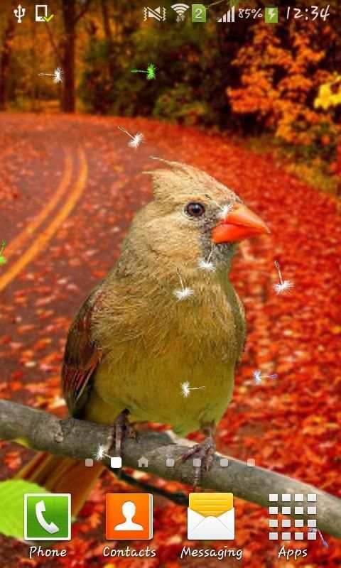 3D Birds Live Wallpaper for S5 screenshot 6