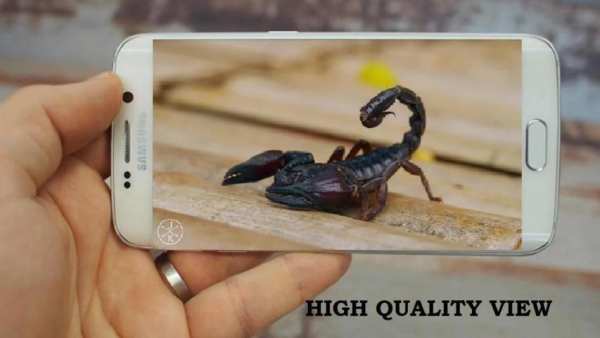 MP4 AVI 3GP HD Video Player स्क्रीनशॉट 4