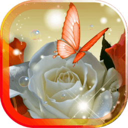 Весна Розы живые обои иконка