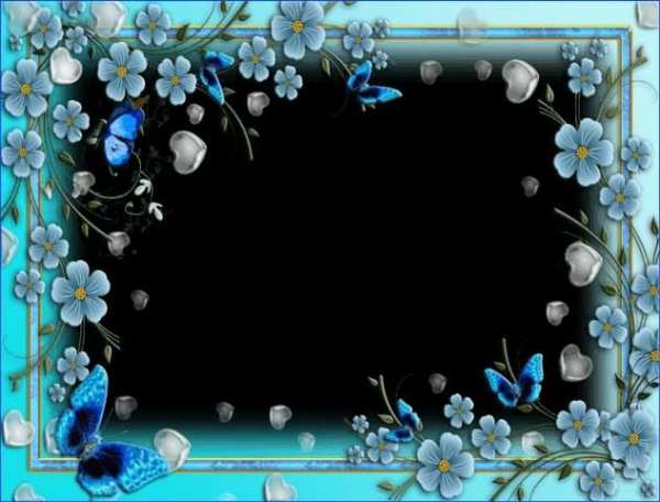 Photo Frames Butterfly screenshot 2