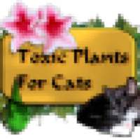 Toxic plants for cats / giftige Pflanzen für Katzen EN and DE on 9Apps