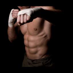 ShadowFighter Workout