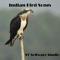 Indian Bird Sounds आइकन