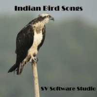 Indian Bird Sounds on 9Apps