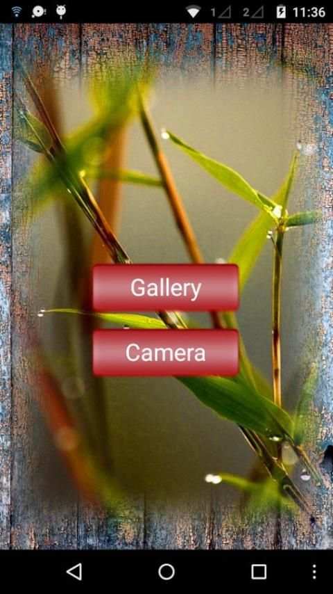 All Type Photo Frames स्क्रीनशॉट 4