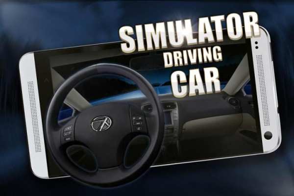 Simulator driving car screenshot 1
