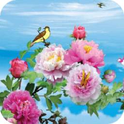 Birds and Flowers 1.0.0