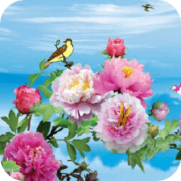 Birds &amp; Flowers Live Wallpaper иконка
