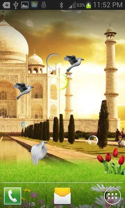 Taj Mahal Birds Live Wallpaper स्क्रीनशॉट 3