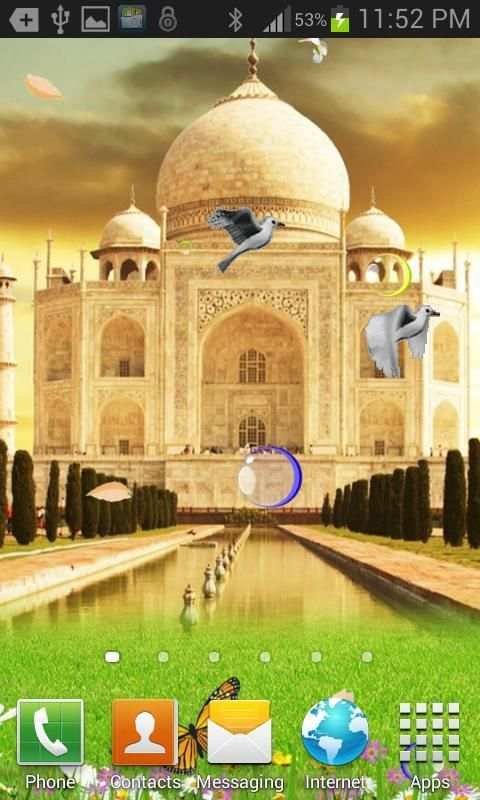 Taj Mahal Birds Live Wallpaper स्क्रीनशॉट 2