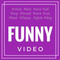 Funny Videos 2016