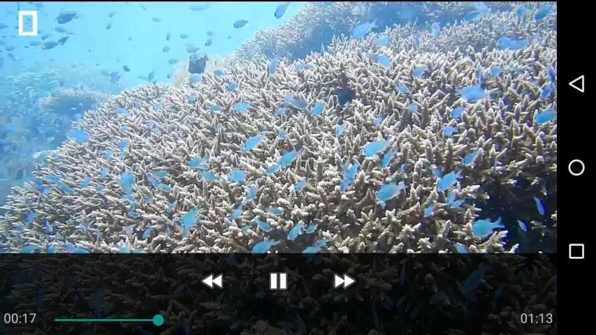 All In One HD Video Player 3 تصوير الشاشة