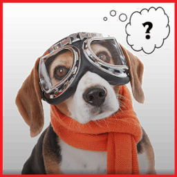 Dog Translator أيقونة