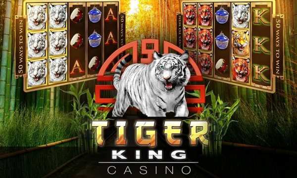 Slots Tiger King Casino Slots 15 تصوير الشاشة