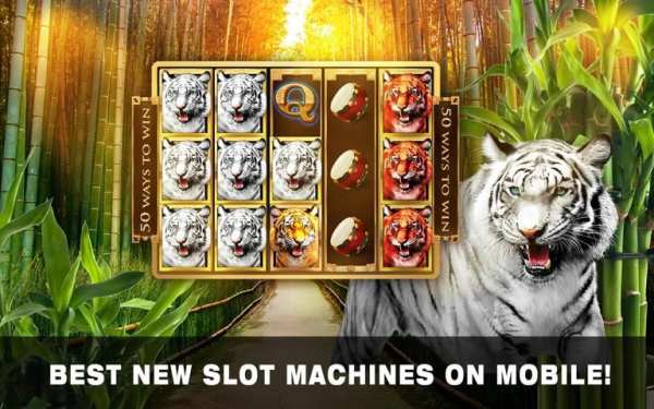 Slots Tiger King Casino Slots 4 تصوير الشاشة
