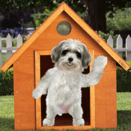 Real Talking Puppy icon