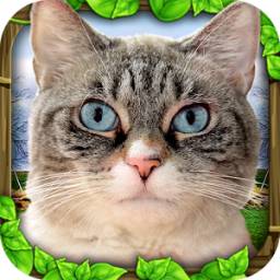 Stray Cat Simulator icon