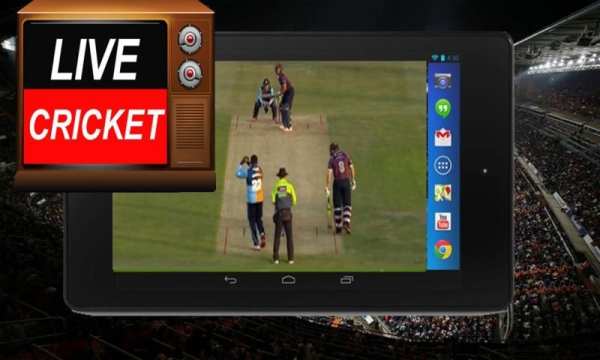 Live Cricket on TV Channels screenshot 2