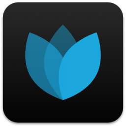 Blue 1.1