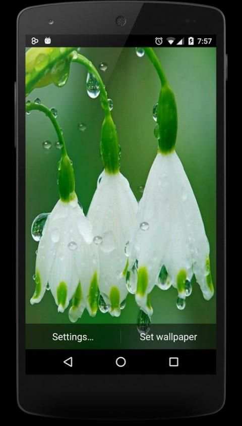 Rain Live Wallpaper 2016 स्क्रीनशॉट 3