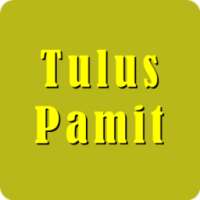 Tulus - Pamit on 9Apps