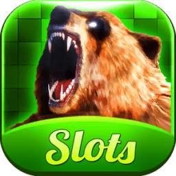 Bear Slots - Free Slot Casino