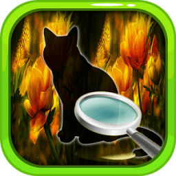 Find Difference Cat Game 50Lv icon