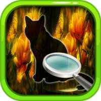 Find Difference Cat Game 50Lv
