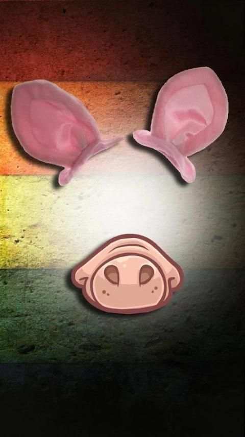 Funny Face Changer Pro screenshot 4