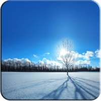 Wallpapers for Asus phones on 9Apps