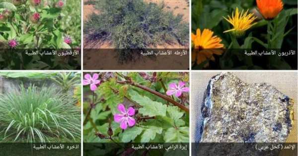 الأعشاب دواء لكل داء 5 تصوير الشاشة