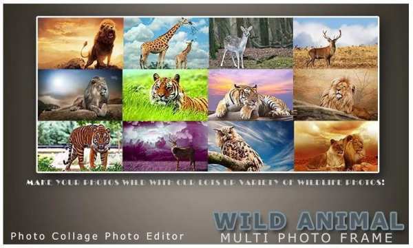 Wild Animal Photo Frame Multi स्क्रीनशॉट 5