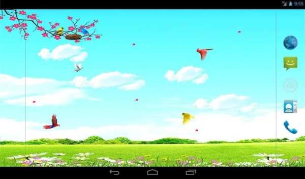 Sky Birds Live Wallpaper Free 1 تصوير الشاشة