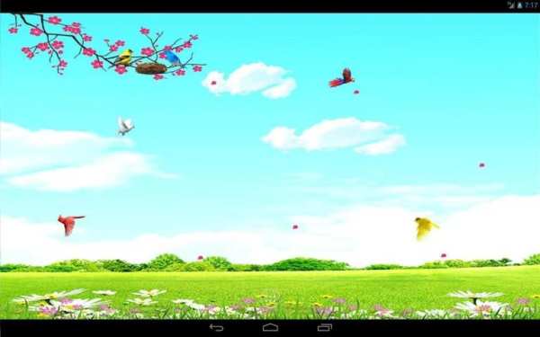 Sky Birds Live Wallpaper Free screenshot 6