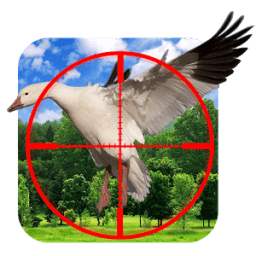 Sky Fly Birds Hunter Sniper icon