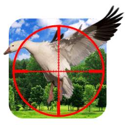 Sky Fly Birds Hunter Sniper 1.0