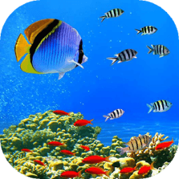 Underwater world live wp आइकन
