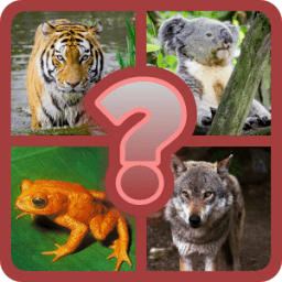 Guess the Animal Quiz icon