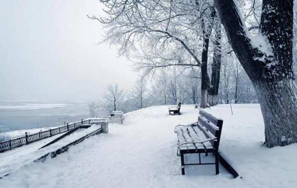 Winter Live Wallpaper screenshot 1