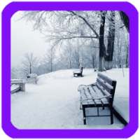 Winter Live Wallpaper