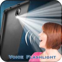 Voice Flash Light